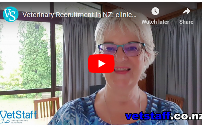 visa sop data collection Vet Jobs with VetStaff Leading Veterinary Recruitment Julie South of VetStaff talks job board listing SOPs for visa applications