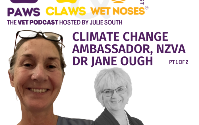 Dr Jane Ough Climate Change Ambassador NZVA Vet Jobs with VetStaff Leading Veterinary Recruitment Dr Jane Ough Climate Change Ambassador NZVA