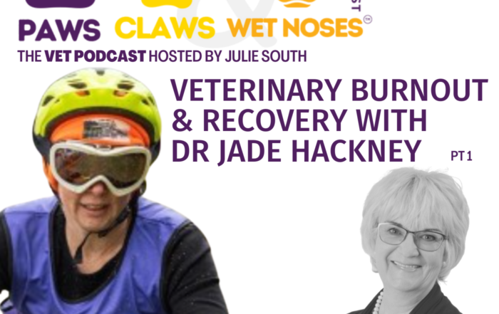 Veterinary Burnout and Recovery with Dr Jade Hackney Vet Jobs with VetStaff Leading Veterinary Recruitment Veterinary Burnout and Recovery with Dr Jade Hackney