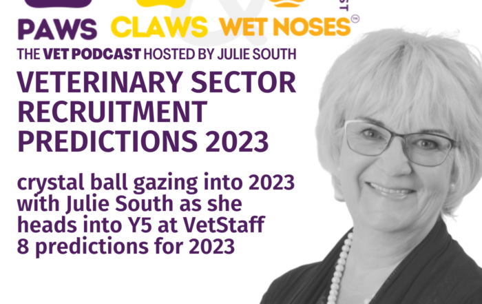 Veterinary Sector Recruitment Predictions 2023 Vet Jobs with VetStaff Leading Veterinary Recruitment Veterinary Sector Recruitment Predictions 2023