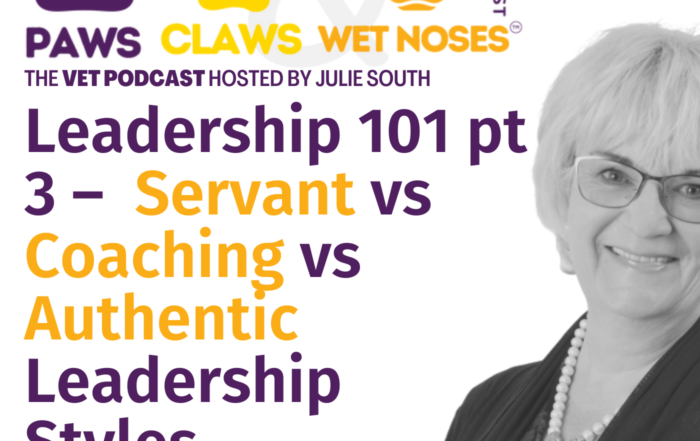Servant Coaching Authentic Leadership styles Vet Jobs with VetStaff Leading Veterinary Recruitment Servant Coaching Authentic Leadership styles