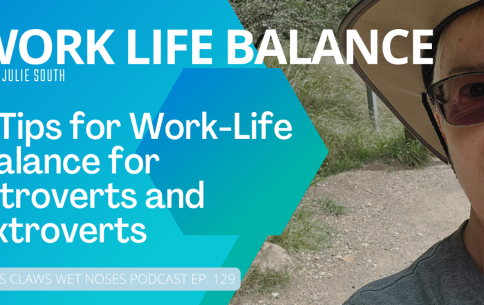 worklife balance introverts extroverts Vet Jobs with VetStaff Leading Veterinary Recruitment work life balance introverts extroverts