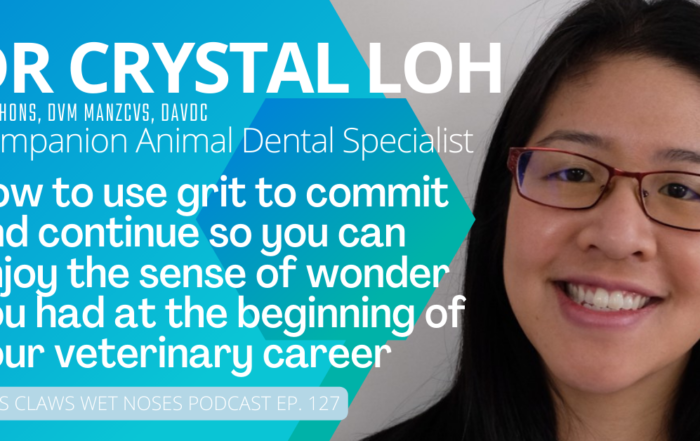 Dr Crystal Loh Vet Jobs with VetStaff Leading Veterinary Recruitment Dr Crystal Loh