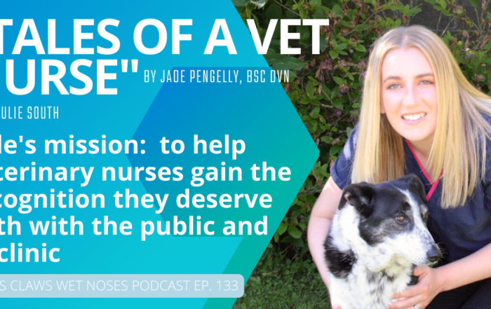 Tales of a Vet Nurse with Jade Pengelly 01 Vet Jobs with VetStaff Leading Veterinary Recruitment Tales of a Vet Nurse with Jade Pengelly
