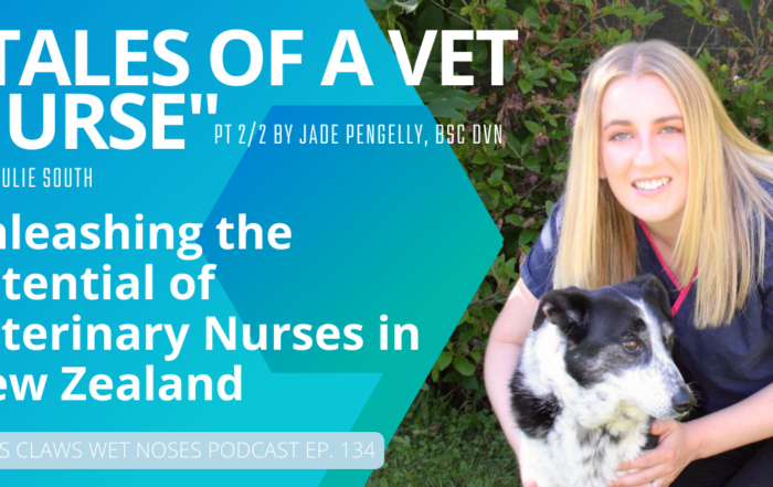 Unleashing the potential of vet nurses in New Zealand with Jade Pengelly Vet Jobs with VetStaff Leading Veterinary Recruitment Unleashing the potential of vet nurses in New Zealand