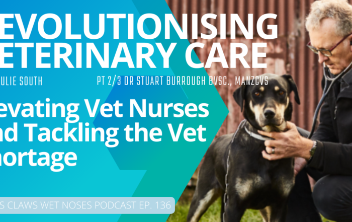 Revolutionising Veterinary Care PCWN 136 Stuart Burrough Vet Jobs with VetStaff Leading Veterinary Recruitment Revolutionising Veterinary Care PCWN 136 Stuart Burrough
