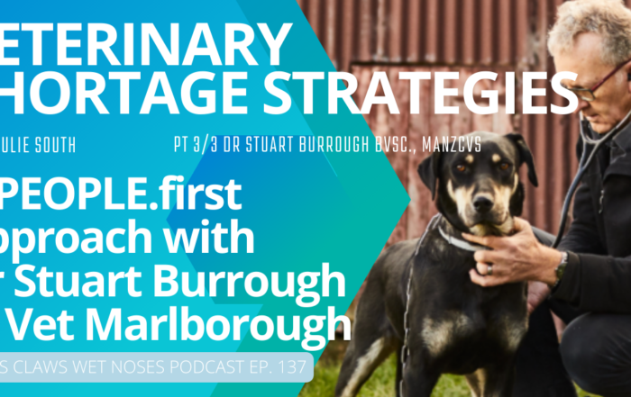 Veterinary Shortage Strategies with Dr Stuart Burrough of Vet Marlborough Vet Jobs with VetStaff Leading Veterinary Recruitment Veterinary Shortage Strategies with Dr Stuart Burrough of Vet Marlborough