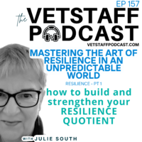 Resilience Quotient - Mastering the Art of - podcast with Julie South of VetClinicJobs