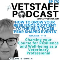 Resilience Building Tips for Veterinary Professionals - Resilience Strengthening Series Wrap Up Episode
