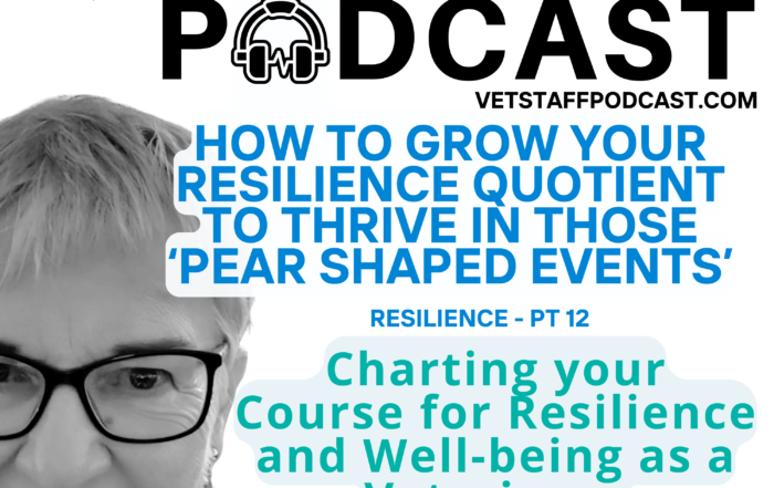 Resilience Building Tips for Veterinary Professionals Resilience Strengthening Series Wrap Up Episode