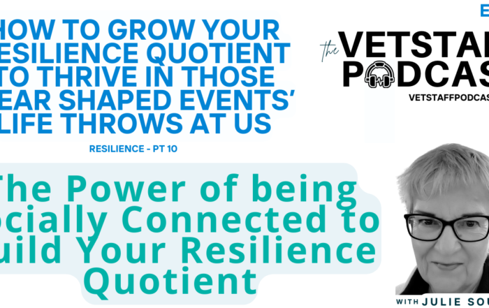 Building Resilience Through Social Connections The Key to Thriving in Veterinary Practice