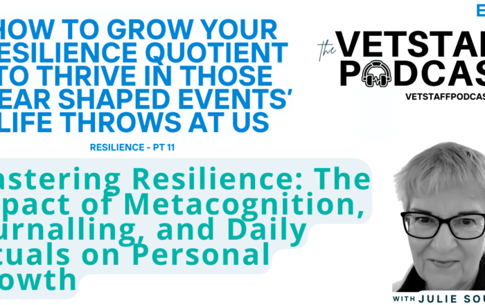 resilience building metacognition journaling veterinary professionals self reflection stress management positive psychology coping strategies expressive writing personal growth
