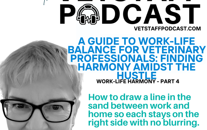 A Guide to Work Life Balance for Veterinary Professionals Finding Harmony Amidst the Hustle