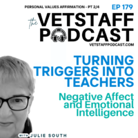 Turning Triggers Into Teachers - Negative Affect and Emotional Intelligence