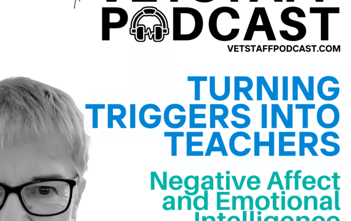 Turning Triggers Into Teachers Negative Affect and Emotional Intelligence